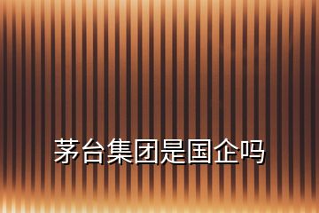 茅臺集團(tuán)是國企嗎