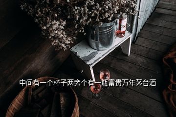 中間有一個(gè)杯子兩旁個(gè)有一瓶富貴萬年茅臺酒