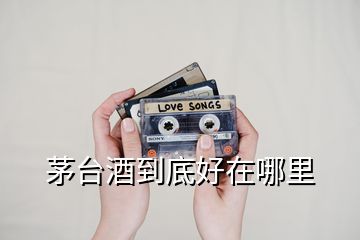 茅臺(tái)酒到底好在哪里