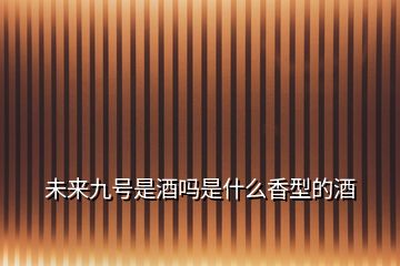 未來九號是酒嗎是什么香型的酒