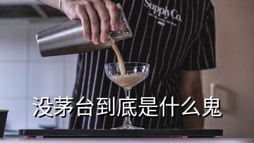 沒(méi)茅臺(tái)到底是什么鬼