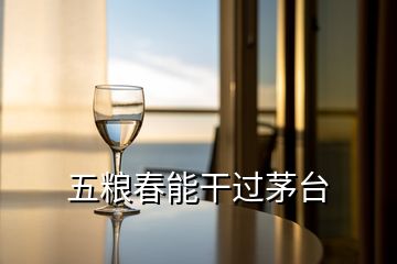 五糧春能干過(guò)茅臺(tái)