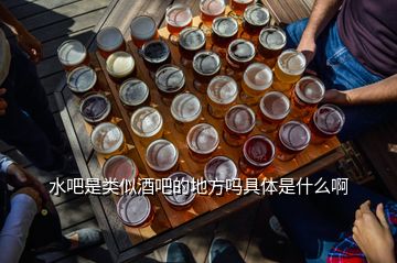 水吧是類(lèi)似酒吧的地方嗎具體是什么啊