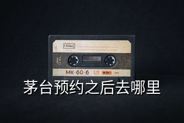茅臺預(yù)約之后去哪里