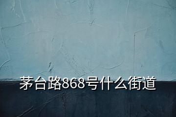 茅臺(tái)路868號什么街道