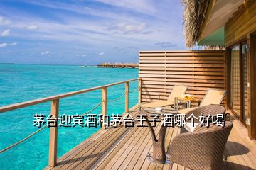 茅臺(tái)迎賓酒和茅臺(tái)王子酒哪個(gè)好喝