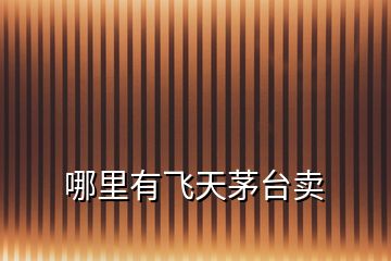 哪里有飛天茅臺賣