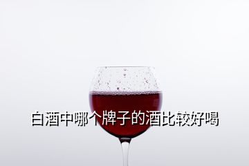 白酒中哪個牌子的酒比較好喝