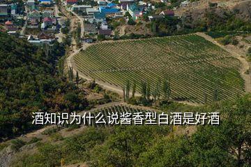 酒知識為什么說醬香型白酒是好酒
