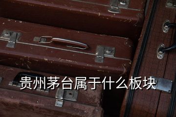 貴州茅臺(tái)屬于什么板塊