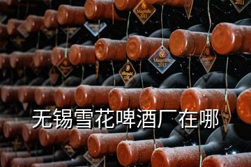 無(wú)錫雪花啤酒廠在哪