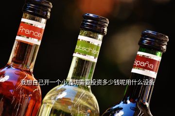 我想自己開(kāi)一個(gè)小酒坊需要投資多少錢(qián)呢用什么設(shè)備