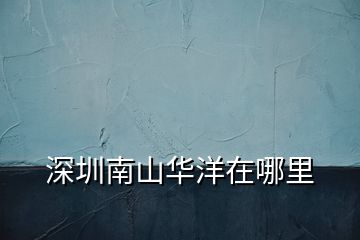 深圳南山華洋在哪里