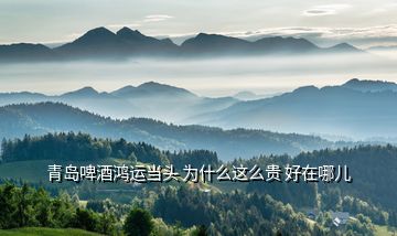 青島啤酒鴻運當頭 為什么這么貴 好在哪兒