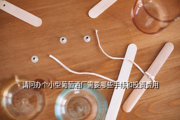 請問辦個小型葡萄酒廠需要哪些手續(xù)和投資費用
