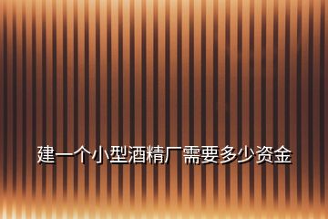 建一個(gè)小型酒精廠需要多少資金
