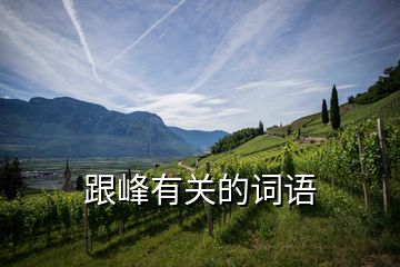 跟峰有關(guān)的詞語