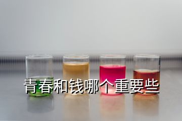青春和錢(qián)哪個(gè)重要些