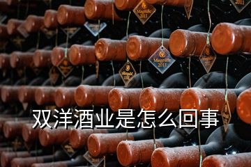 雙洋酒業(yè)是怎么回事