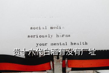 貴十六代白酒有沒(méi)有廠址