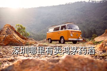 深圳哪里有賣(mài)鴻茅藥酒