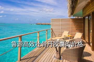 魯源高效壯骨丹膠囊的價(jià)格
