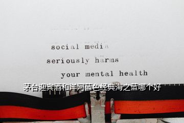 茅臺迎賓酒和洋河藍(lán)色經(jīng)典海之藍(lán)哪個(gè)好