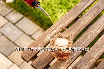 7月15號以后手機(jī)怎樣撥打人工臺查詢話費(fèi)和流量