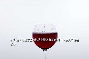 誰(shuí)知道上海浦東國(guó)際機(jī)場(chǎng)免稅店有茅臺(tái)和五糧液賣(mài)么價(jià)格多少