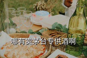 哪有賣茅臺(tái)專供酒啊
