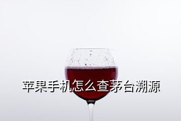 蘋果手機怎么查茅臺溯源
