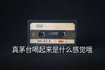 真茅臺(tái)喝起來(lái)是什么感覺(jué)哦