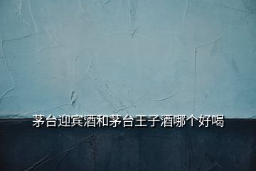 茅臺迎賓酒和茅臺王子酒哪個好喝