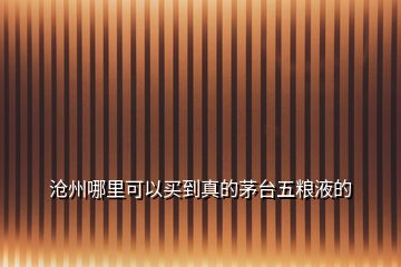 滄州哪里可以買到真的茅臺五糧液的