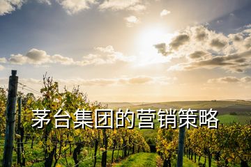 茅臺(tái)集團(tuán)的營銷策略