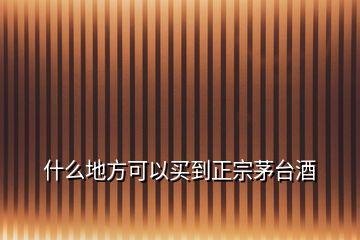 什么地方可以買到正宗茅臺酒