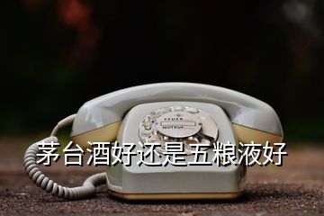 茅臺(tái)酒好還是五糧液好