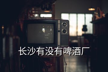 長(zhǎng)沙有沒(méi)有啤酒廠