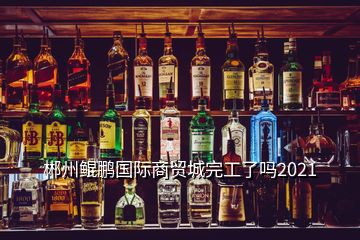 郴州鯤鵬國際商貿(mào)城完工了嗎2021