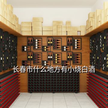 長春市什么地方有小燒白酒