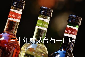 三十年前茅臺(tái)有一廠嗎
