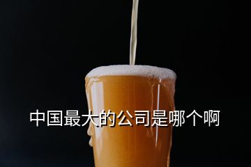 中國最大的公司是哪個(gè)啊