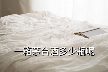 一箱茅臺酒多少瓶呢