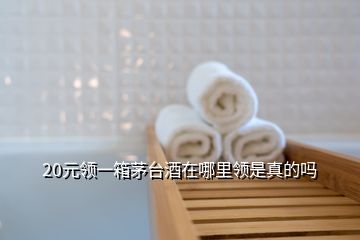 20元領(lǐng)一箱茅臺酒在哪里領(lǐng)是真的嗎
