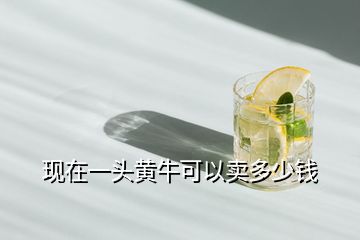現(xiàn)在一頭黃?？梢再u多少錢