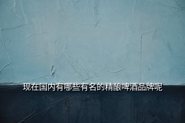 現在國內有哪些有名的精釀啤酒品牌呢