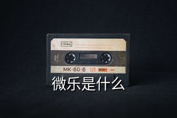 微樂(lè)是什么