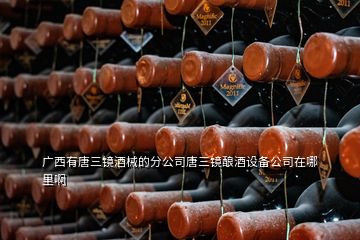 廣西有唐三鏡酒械的分公司唐三鏡釀酒設備公司在哪里啊