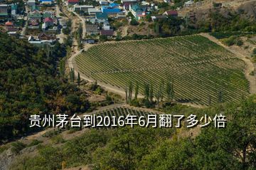 貴州茅臺(tái)到2016年6月翻了多少倍