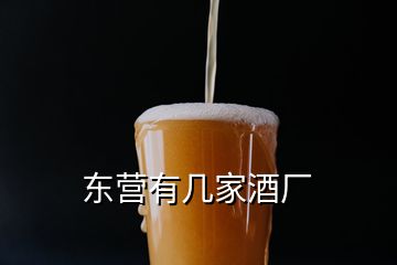 東營(yíng)有幾家酒廠(chǎng)